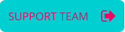 SUPPORT TEAM